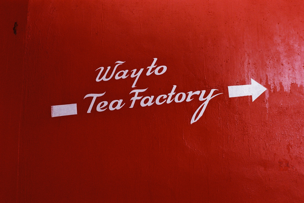 Benchmark Tea Factory